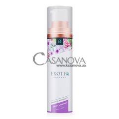 Основне фото Масажна олія Exotiq Massage Оil Lovely Lavender з ароматом лаванди 100 мл