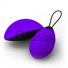 Основное фото Клиторальный стимулятор и виброяйцо Fairy Purple