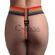 Дополнительное фото Трусы для страпона Xr Brands Strap U Take the Rainbow разноцветные
