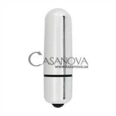 Основне фото Віброкуля X-Basic Bullet Mini сріблястий 5,9 см