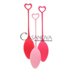 Основне фото Набір вагінальних кульок різної ваги Pelvic Floor Exercise Trainer рожевий