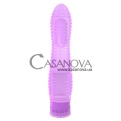 Основное фото Вибратор Crystal Jelly Lines Exciter фиолетовый 16,2 см