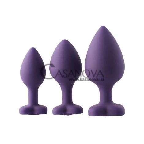 Основное фото Набор анальных пробок Flirts Dream Toys фиолетовый