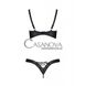 Дополнительное фото Комплект белья Passion Celine Bikini женский чёрный