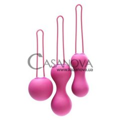 Основне фото Набір вагінальних кульок Je Joue Ami рожевий
