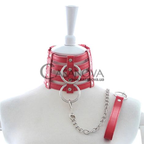 Основное фото Ошейник с поводком DS Fetish Collar With Chain Leash красный