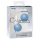 Дополнительное фото Вагинальные шарики Joyballs голубые