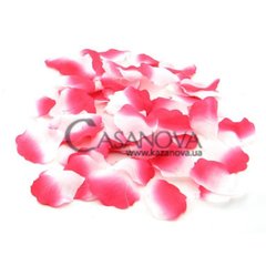 Основное фото Лепестки роз Dona Rose Petals бело-розовые 10 г