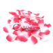 Дополнительное фото Лепестки роз Dona Rose Petals бело-розовые 10 г