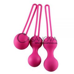 Основное фото Набор вагинальных шариков Ben Wa Balls розовый
