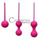 Додаткове фото Набір вагінальних кульок Ben Wa Balls рожевий