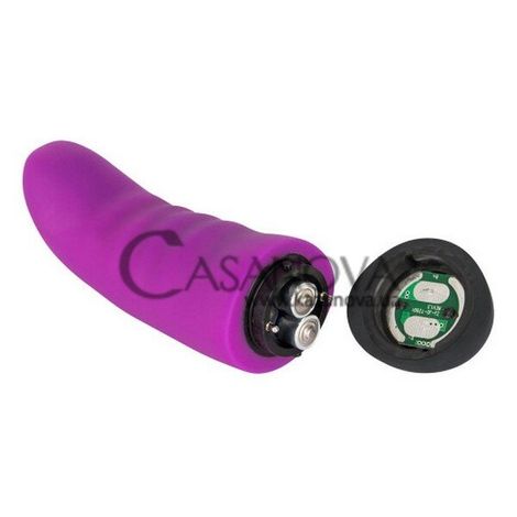 Основное фото Вибратор для точки G Colorful Joy Purple Touch Vibe фиолетовый 13 см
