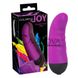 Дополнительное фото Вибратор для точки G Colorful Joy Purple Touch Vibe фиолетовый 13 см