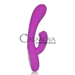 Основное фото Rabbit-вибратор Embrace Massaging G-tickler фиолетовый 13,3 см