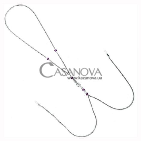 Основне фото Прикраса для сосків Art Of Sex Nipple Clamps Arrow срібляста з фіолетовим