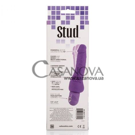Основное фото Вибромассажёр Bendie Stud Cliterrific фиолетовый 19,1 см