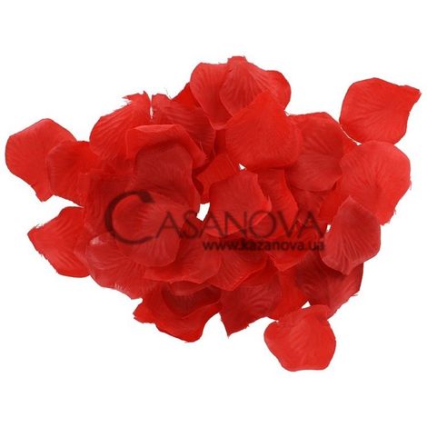 Основное фото Набор для удовольствия Red Romance Gift Set красный