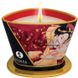 Дополнительное фото Массажная свеча Shunga Massage Candle шампанское-клубника 170 мл