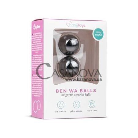 Основне фото Вагінальні кульки EasyToys Ben Wa Balls Magnetic Exercise Balls 281488 сріблясті