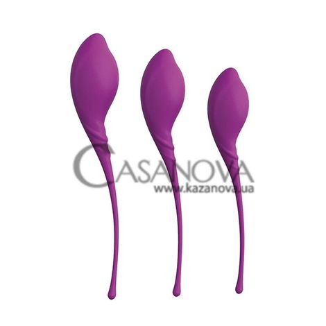 Основное фото Набор из 3 вагинальных шариков Kegel Exercise Set фиолетовый