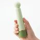 Дополнительное фото Вибратор для точки G Tenga Iroha Rin+ Hisui салатовый с зелёным 16 см