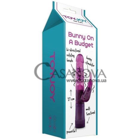 Основне фото Rabbit-вібратор Bunny On A Budget фіолетовий 17 см