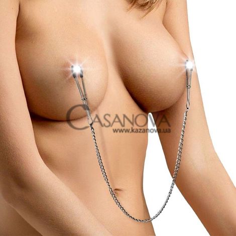 Основне фото Затискачі для сосків з ланцюжком Art Of Sex Nipple Clamps Leona сріблясті