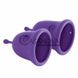 Дополнительное фото Набор менструальных чаш Intimate + Care Menstrual Cups Jimmyjane фиолетовый