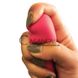 Дополнительное фото Клиторальный стимулятор Silk Excite розовый 11 см