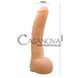 Додаткове фото Фалоімітатор на присосці Top Sex Toy Penis BW-008039N тілесний 26 см