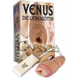Основне фото Мастурбатор-вагіна з вібрацією Venus тілесний