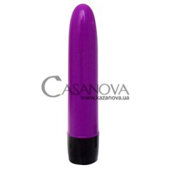 Основное фото Классический вибратор Shibari 5 фиолетовый 13,5 см