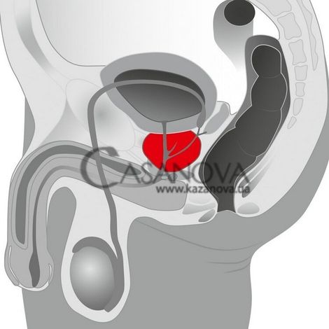 Основное фото Массажёр простаты с вибрацией Prostate Massager чёрный 20 см