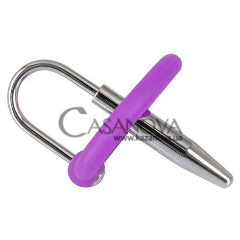Основное фото Уретральный буж с кольцом Penisplug серебристый с фиолетовым 4,5 см