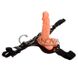 Дополнительное фото Женский страпон Ultra Passionate Harness BW-022023 телесный 15,7 см
