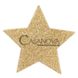 Дополнительное фото Украшение на соски Bijoux Indiscrets Flash Star золотое