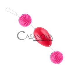 Основне фото Вагінальні кульки Lybaile Sexual Balls рожеві