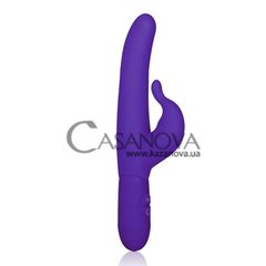 Основное фото Rabbit-вибратор Posh Teasing Tickler фиолетовый 23,5 см