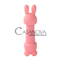 Основное фото Клиторальный вибратор с 2 насадками Feelztoys Mister Bunny розовый 13,5 см