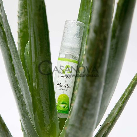 Основное фото Лубрикант на водной основе Easyglide Aloe Vera с ароматом Алоэ вера 30 мл
