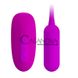 Дополнительное фото Комплект из виброяйца и вакуумного стимулятора Lybaile Pretty Love Curupira Multifunctional 2 In 1 фиолетовый