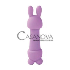 Основне фото Кліторальний вібратор із 2 насадками Feelztoys Mister Bunny фіолетовий 13,5 см