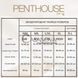 Додаткове фото Трусики-бразиліана Penthouse Too Hot To Be Real фіолетові
