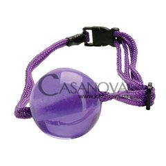 Основное фото Кляп Japanese Silk Love Rope Ball Gag фиолетовый