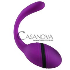 Основное фото Виброяйцо с вагинальным отростком Smart Dream фиолетовое 9 см