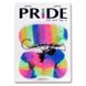 Дополнительное фото Набор из маски на глаза и наручников Pride Play Set цветной