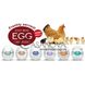 Дополнительное фото Набор яиц Tenga Egg Hard Boiled Package