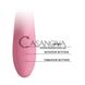 Додаткове фото Rabbit-вібратор з обертовим стимулятором клітора Lybaile Pretty Love Gina рожевий 20,5 см