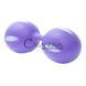 Додаткове фото Вагінальні кульки Boss Series Smartballs 67-00017 фіолетові