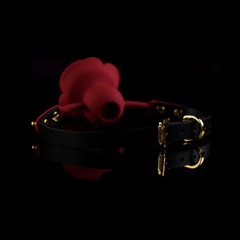 Основное фото Кляп-роза Upko Rose Ball Gag красно-чёрный